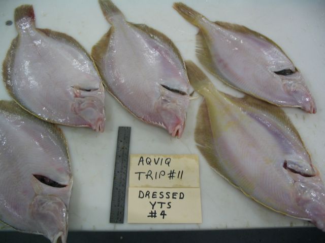 20110322140407172.jpg